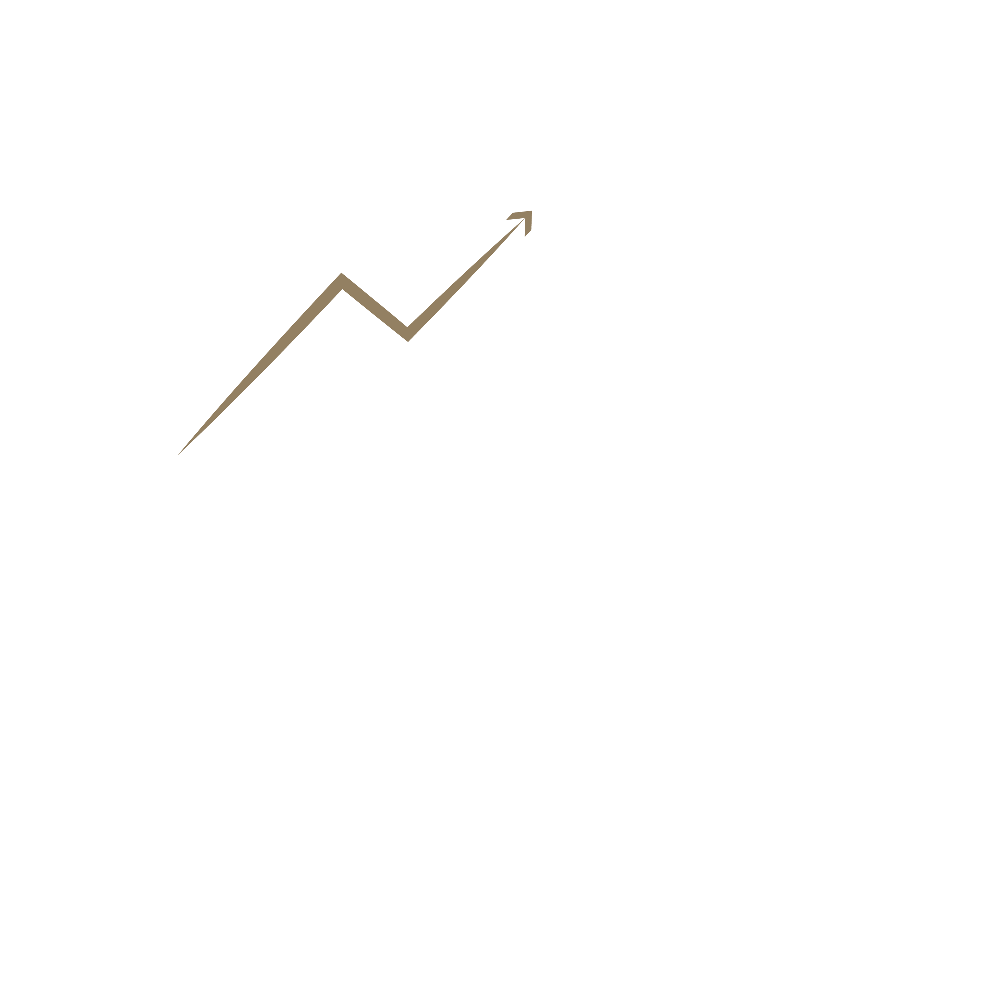 NewScale Consulting